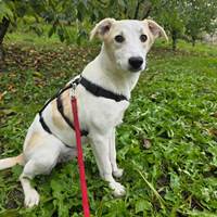 Margarita wünscht sich endlich ein Zuhause.