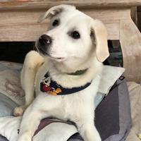 Remus, geb. Juli 2025