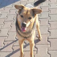 Adrian, geb. Februar 2024, Rumänien Adrian, geb. Februar 2024, Rumänien