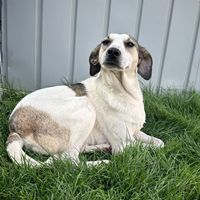 Alonzo wartet schon soooo lange Alonzo wartet schon soooo lange