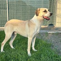 Arico gibt die Hoffnung noch nicht auf seine Familie zu finden. Arico gibt die Hoffnung noch nicht auf seine Familie zu finden.